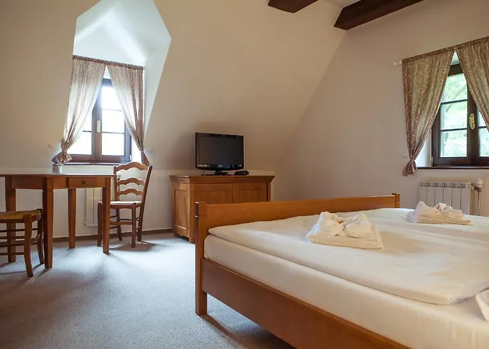 Гостевой дом Siskuv Mlyn