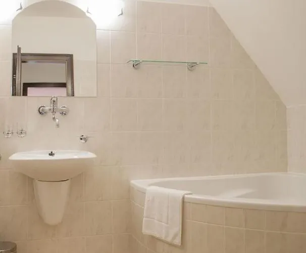 Siskuv Mlyn Гостевой дом Vanov