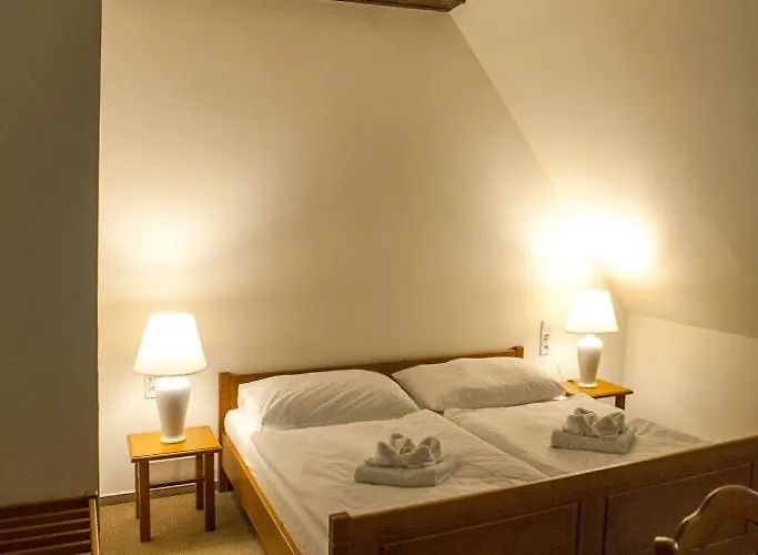 Siskuv Mlyn Гостевой дом Vanov