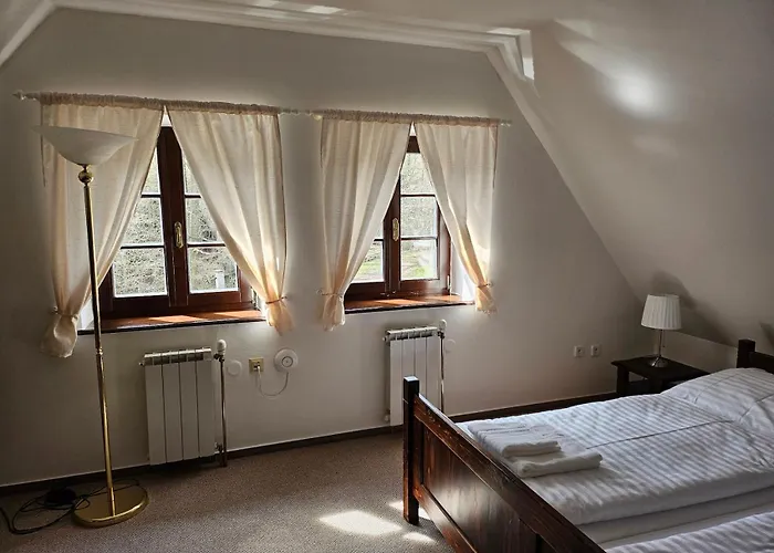 Siskuv Mlyn Гостевой дом Vanov